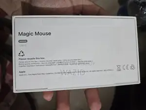 Magic Mouse 4 [Apple] Usb C