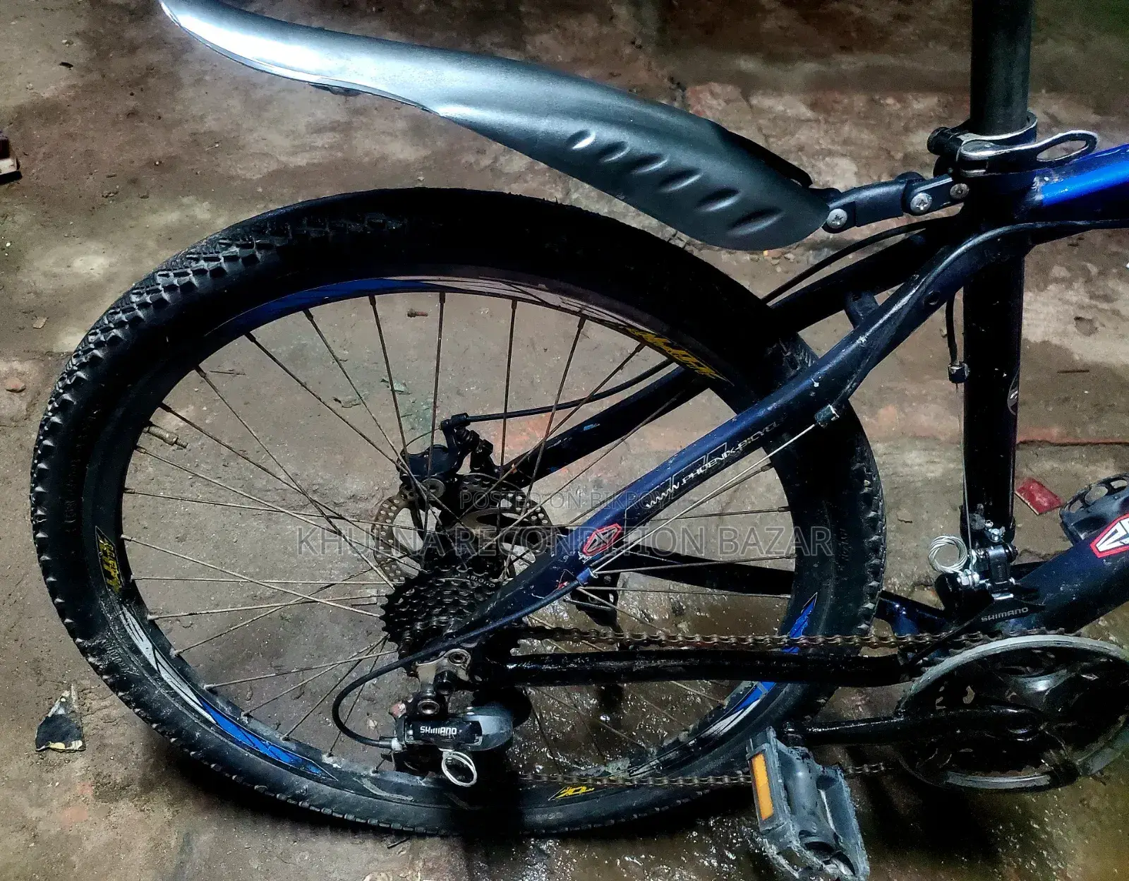 Phoenix 7/3 Gear Alo Body Cycle