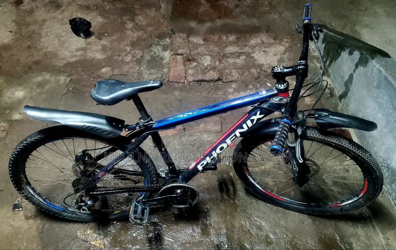 Phoenix 7/3 Gear Alo Body Cycle