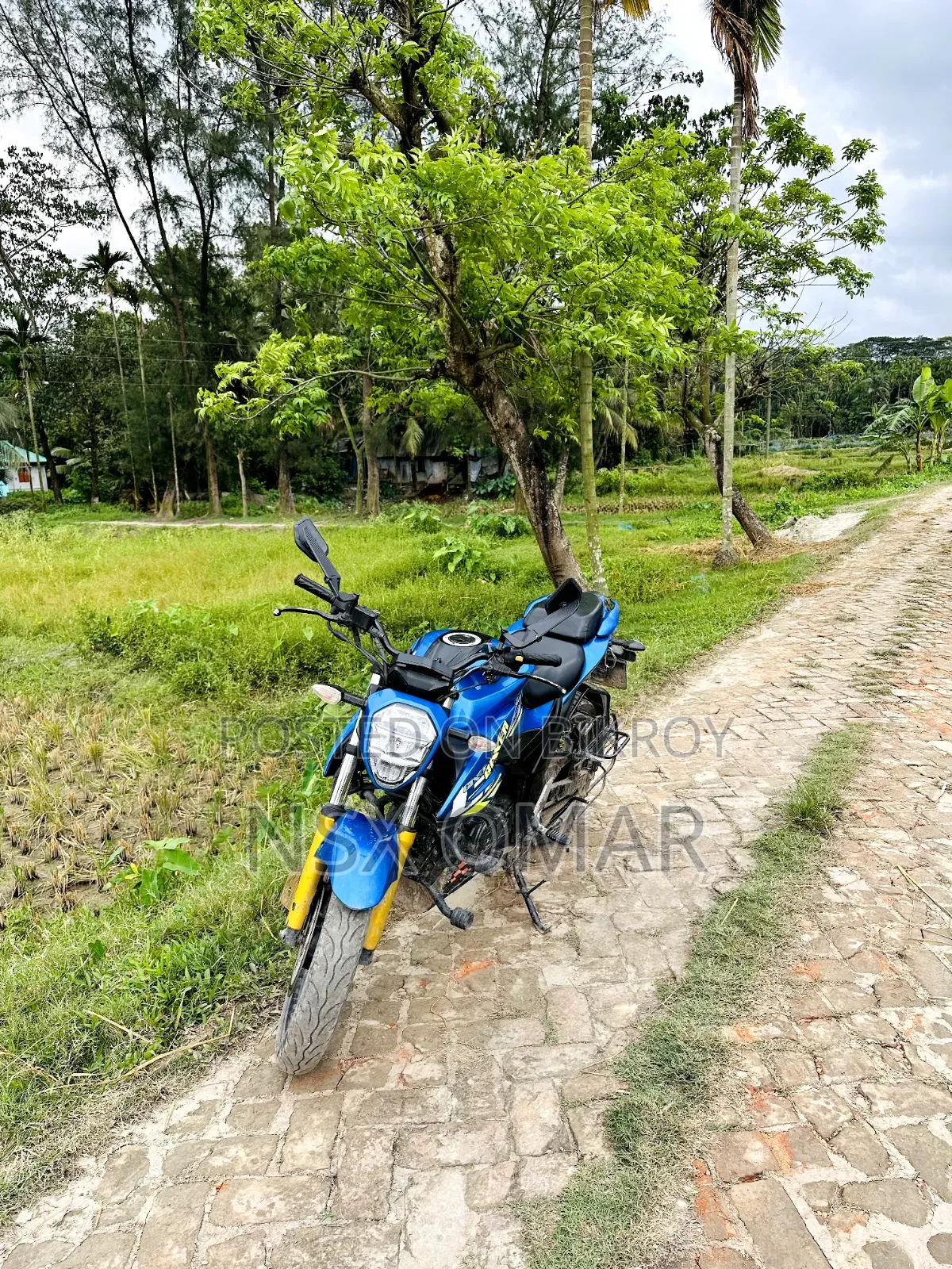 Suzuki Gixxer Monotone 2022 Blue