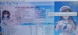 SSD Sata 2.5" (Bory - 256 Gb)
