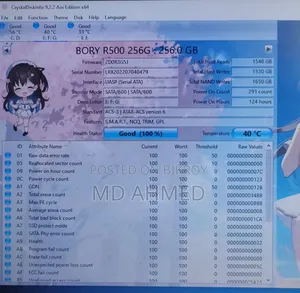 SSD Sata 2.5" (Bory - 256 Gb)