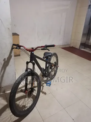 স্ট্যান্ট সাইকেল
