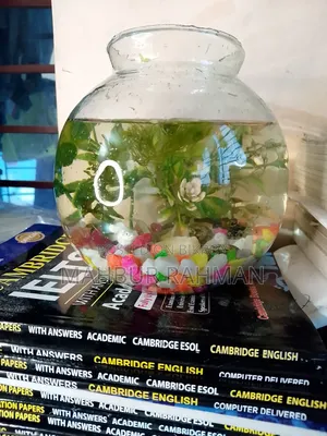 মাছ সহ সুন্দর একটা একুরিয়াম বিক্রি হবে