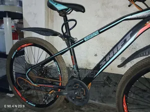 Shift Bicycle With Double Hydraulic Brake