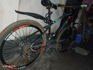 Shift Bicycle With Double Hydraulic Brake
