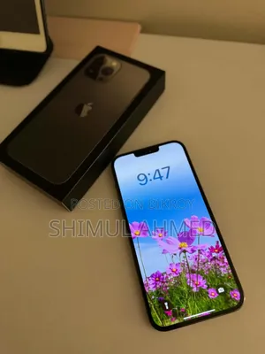 Apple iPhone 13 Pro Max 128 GB Gray