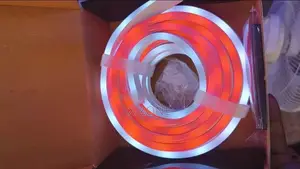 Led Neon RGB-Ic Magic 5m Light Strip Light