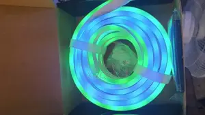 Led Neon RGB-Ic Magic 5m Light Strip Light