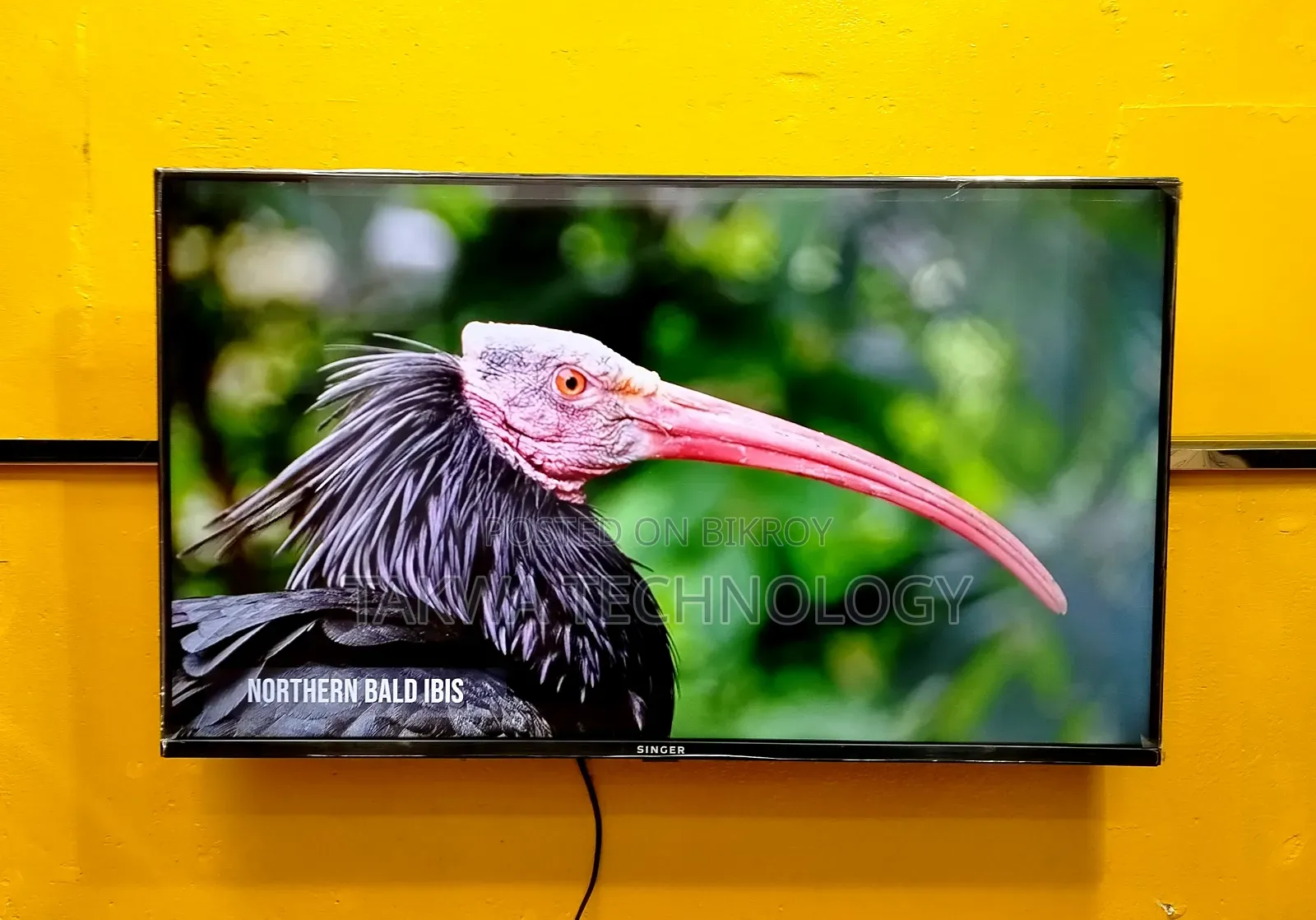 Singer 32-inch Smart Frameless Voice Control TV