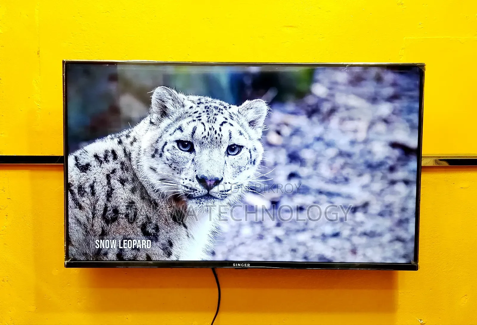 Singer 32-inch Smart Frameless Voice Control TV