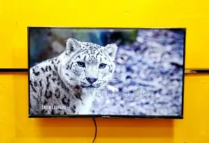 Singer 32-inch Smart Frameless Voice Control TV