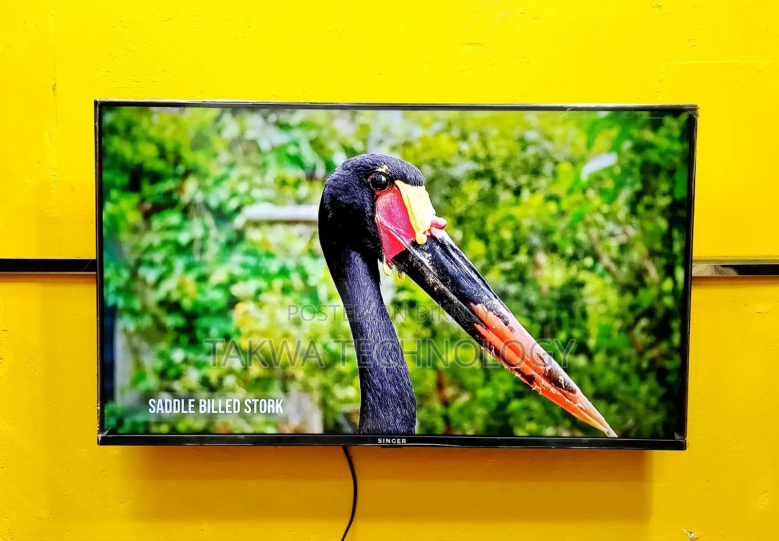 Singer 32-inch Smart Frameless Voice Control TV