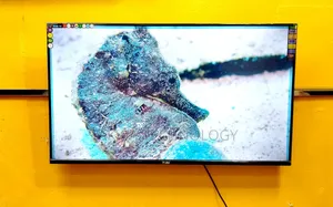 Haier 43-inch Smart Android Frameless Voice Control TV