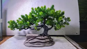 গাছ একোরিয়ামের