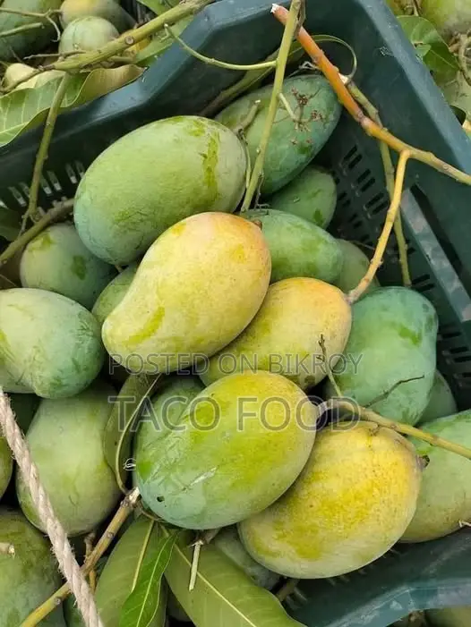 Safe Mangoes Directly from the Orchard
