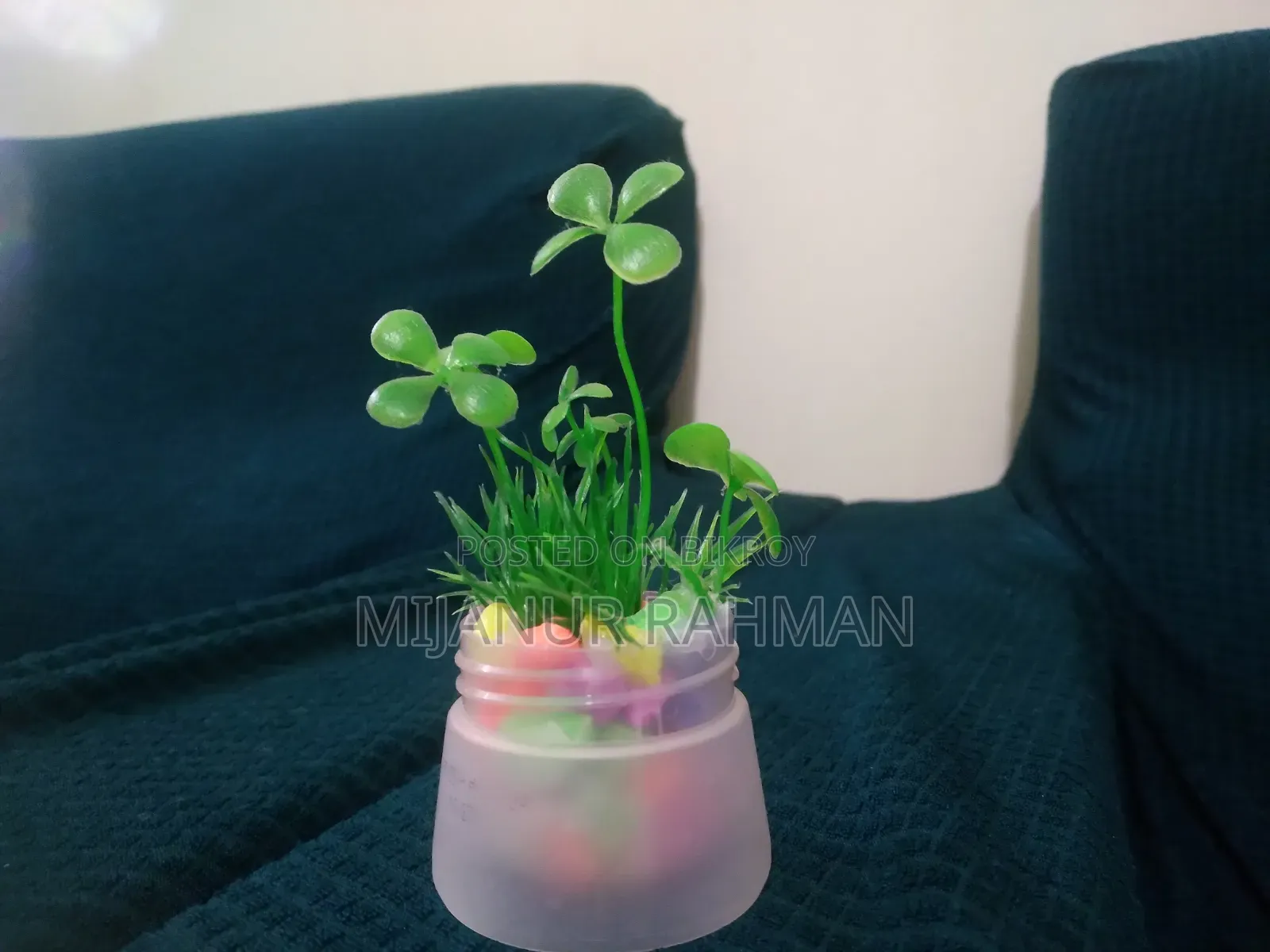 ডেকোরেশন গাছ
