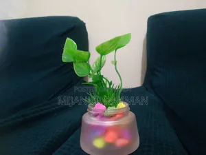ডেকোরেশন গাছ