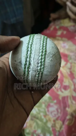Cricket Practice Ball