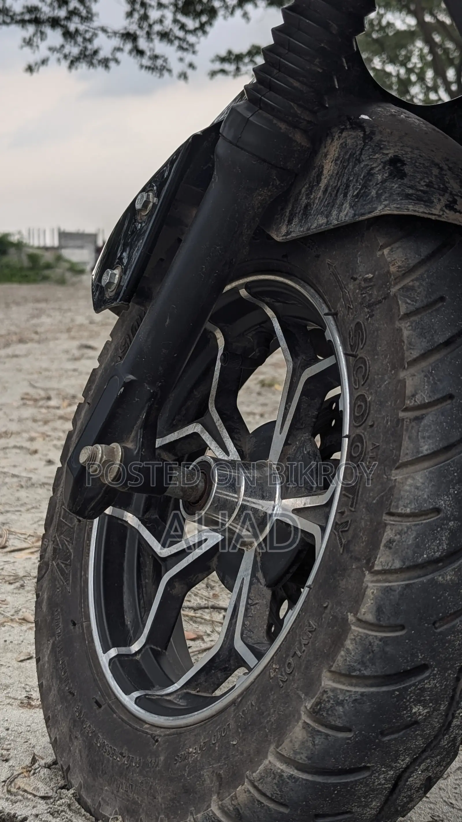 Green Tiger JR-Falcon 2025 Black