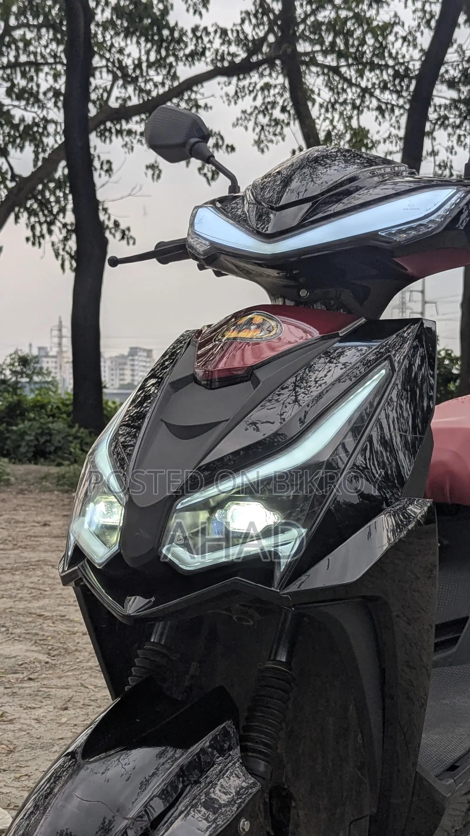 Green Tiger JR-Falcon 2025 Black