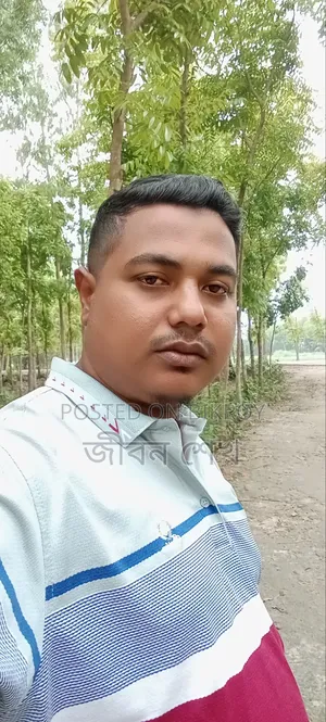 দেশ এবং দেশের বাইরে গাড়ি চালানোর অভিজ্ঞতা