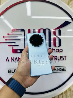 Vivo X100 256 GB