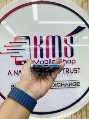Vivo X100 256 GB
