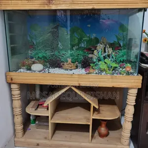 Aquarium With Decoration Item