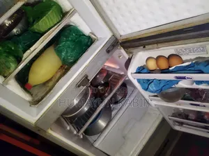 Refrigerator (Frost Fridge)