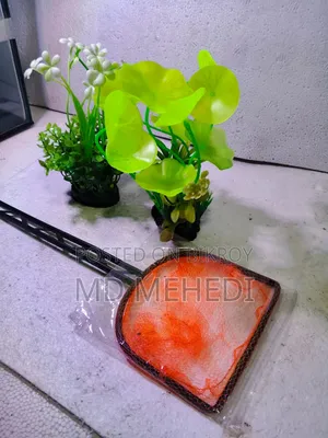 Aquarium Plants (Artificial) & Net Only 310 Taka