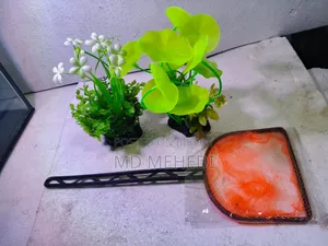 Aquarium Plants (Artificial) & Net Only 310 Taka