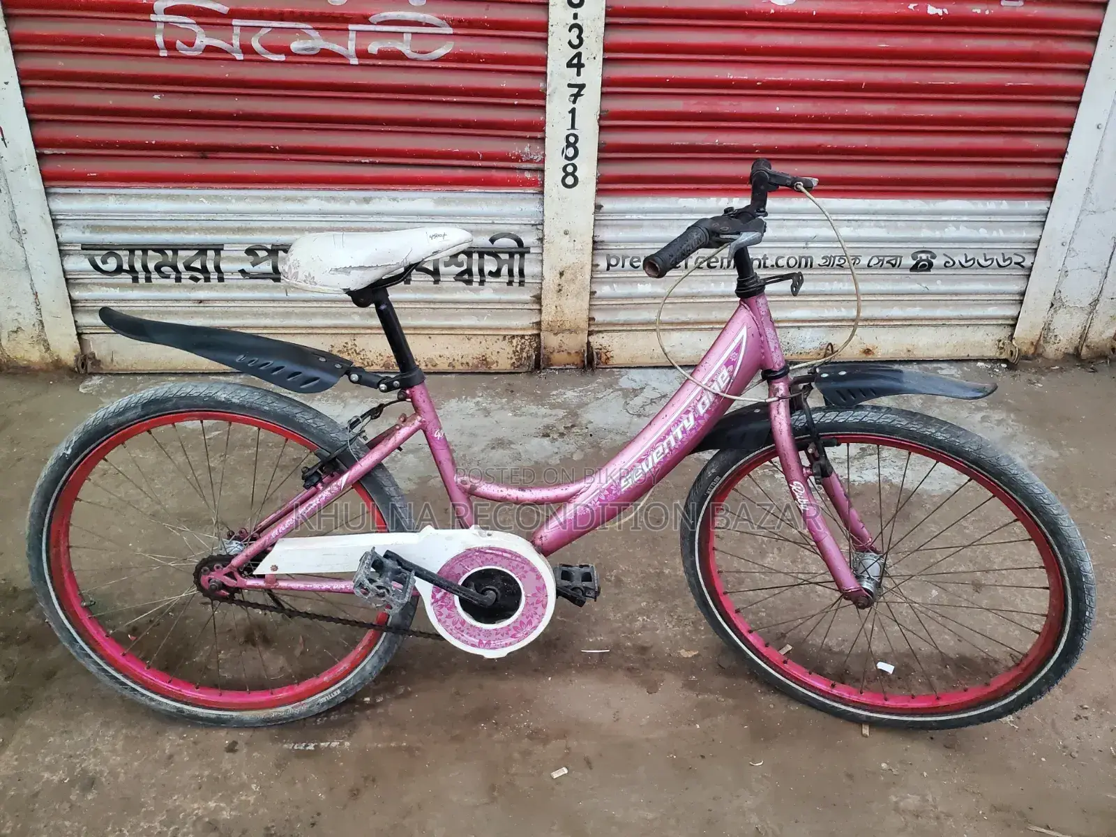 24-inch Ladies Bicycle