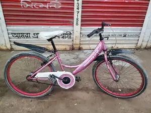 24-inch Ladies Bicycle