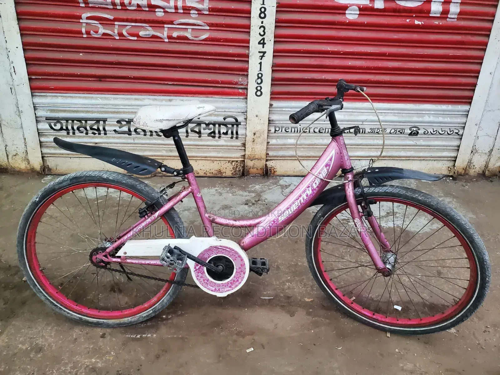 24-inch Ladies Bicycle