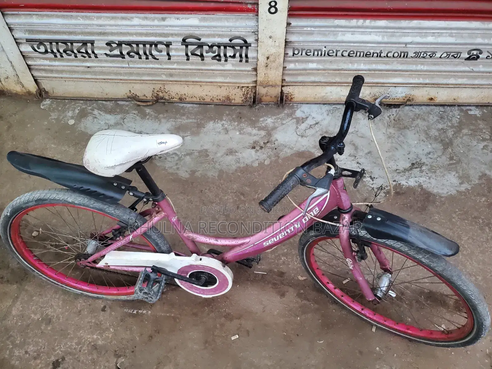 24-inch Ladies Bicycle
