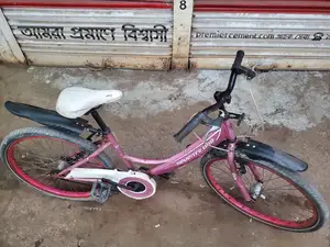 24-inch Ladies Bicycle