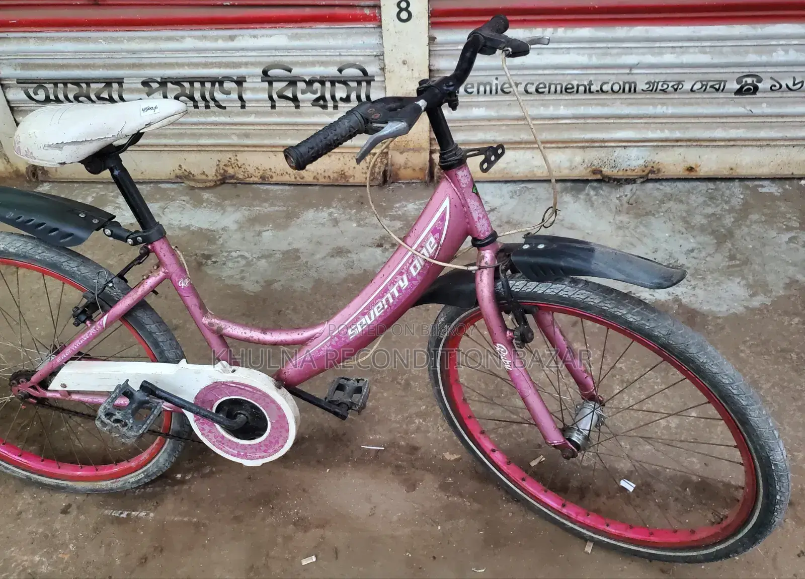 24-inch Ladies Bicycle