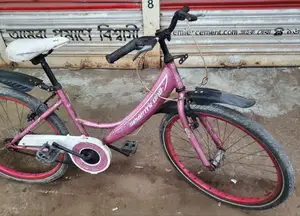 24-inch Ladies Bicycle
