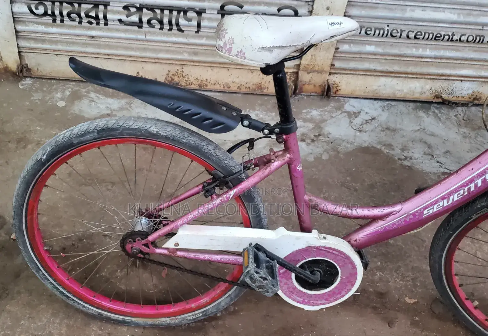 24-inch Ladies Bicycle