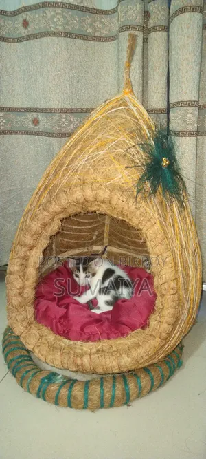 Cat House for Sell