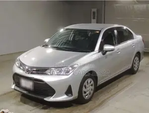 Toyota Axio 2021 Silver