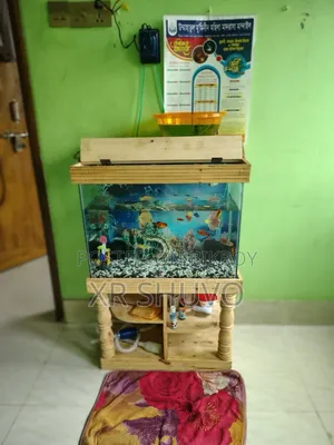 এই একুরিয়াম টা বিক্রি করবো কারো যদি পছন্দ হয় অবশ্যই জানা বেন ধন্যবাদ