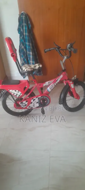 Used Cycle