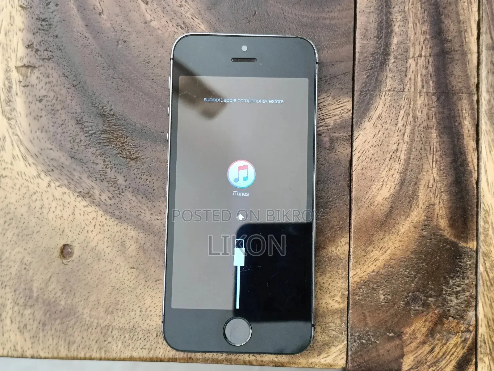 iPhone 5s Display With Front Camera