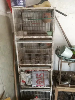 Cage For Sale