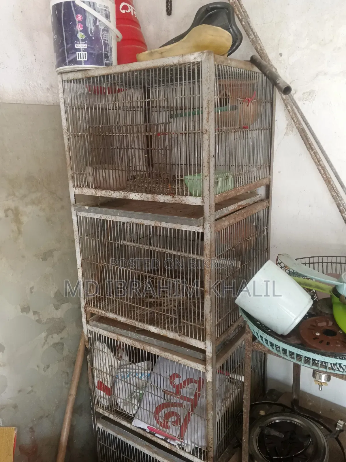 Cage For Sale