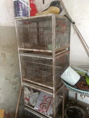 Cage For Sale