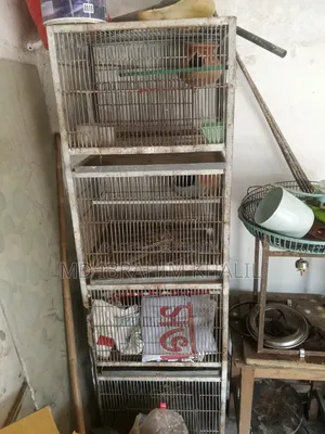 Cage For Sale