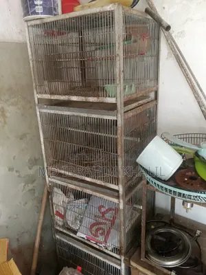 Cage For Sale